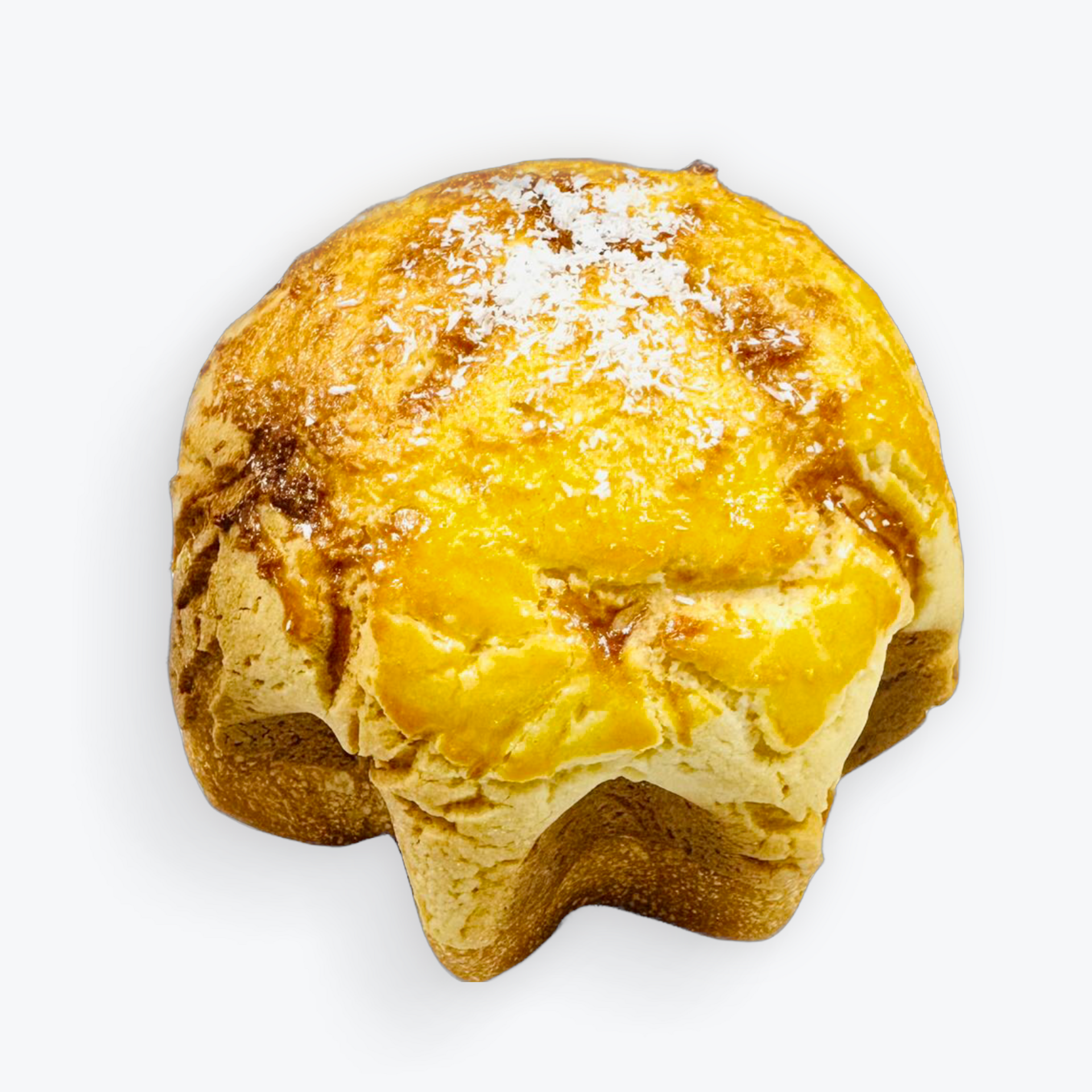 Coconut Cranberry Polo Bun 1 개입