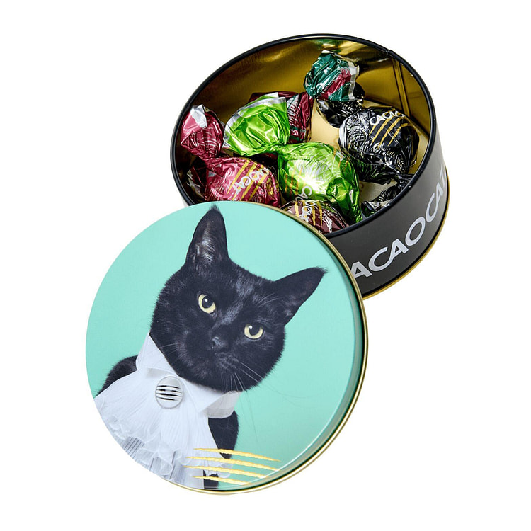 Cat Chocolate Tin: Green