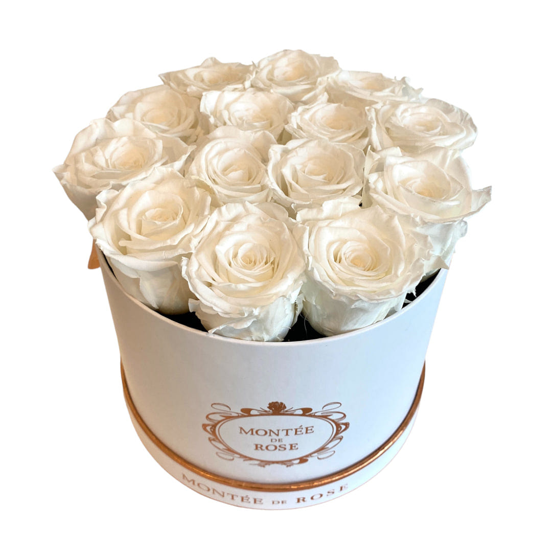 White Medium Round Pure White 1 each