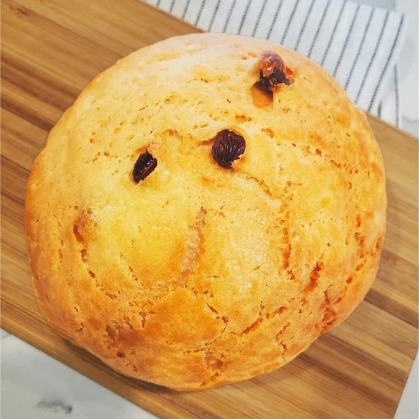 Raisin Dry Custard 4.2oz 1 each