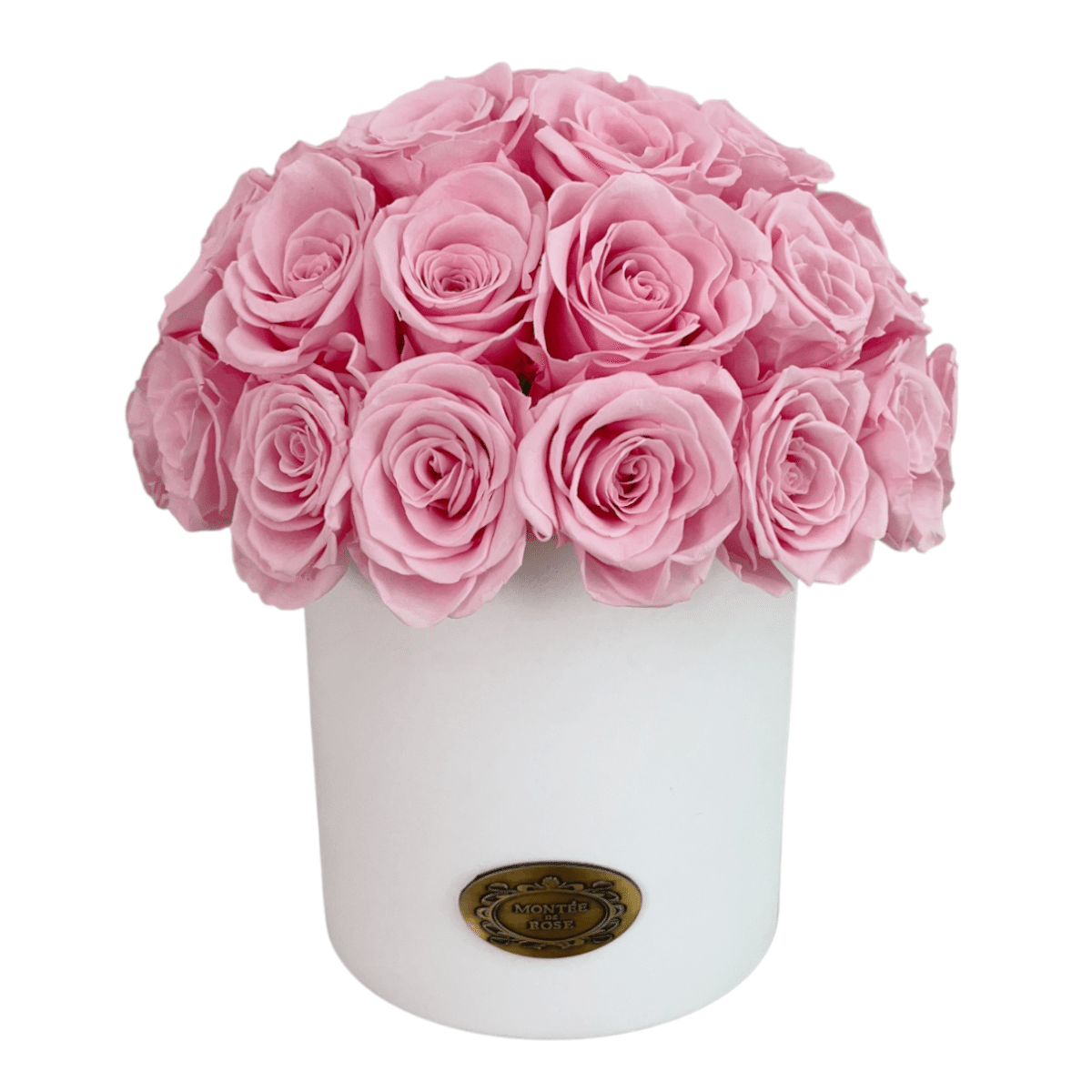 Baby Pink Rose Hamptons Vase 1 each