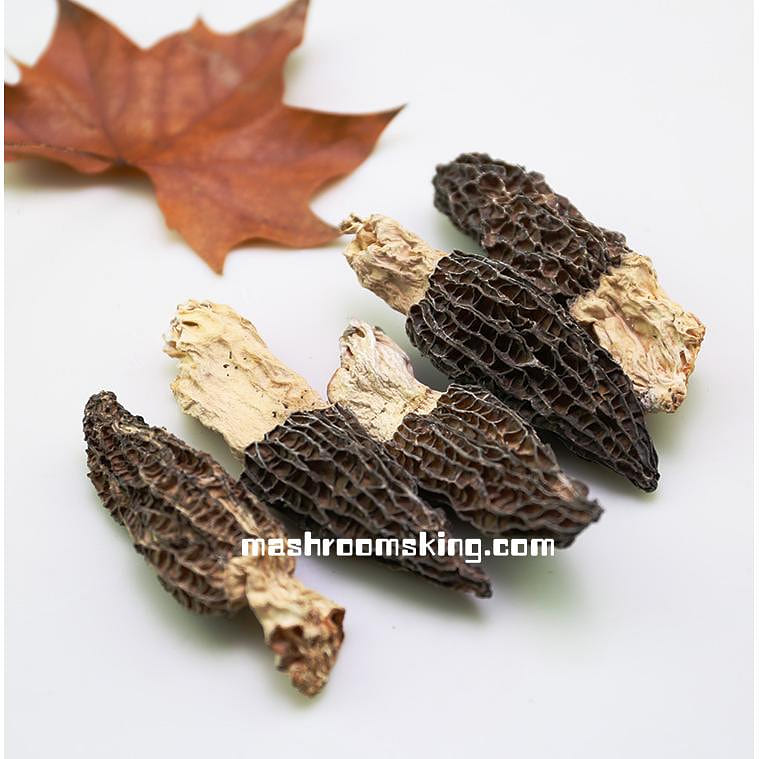 XLSEAFOOD Yun Nan Premium A+ Wild True Morel Mushroom Large Size 4OZ 113g p 59.99 each