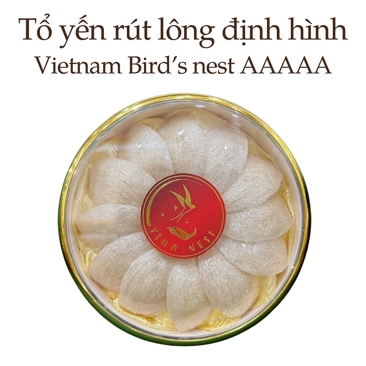 Tổ Yến Rút Lông Định Hình Yến Sào Việt Nam AAAAA Tet Viet Gift