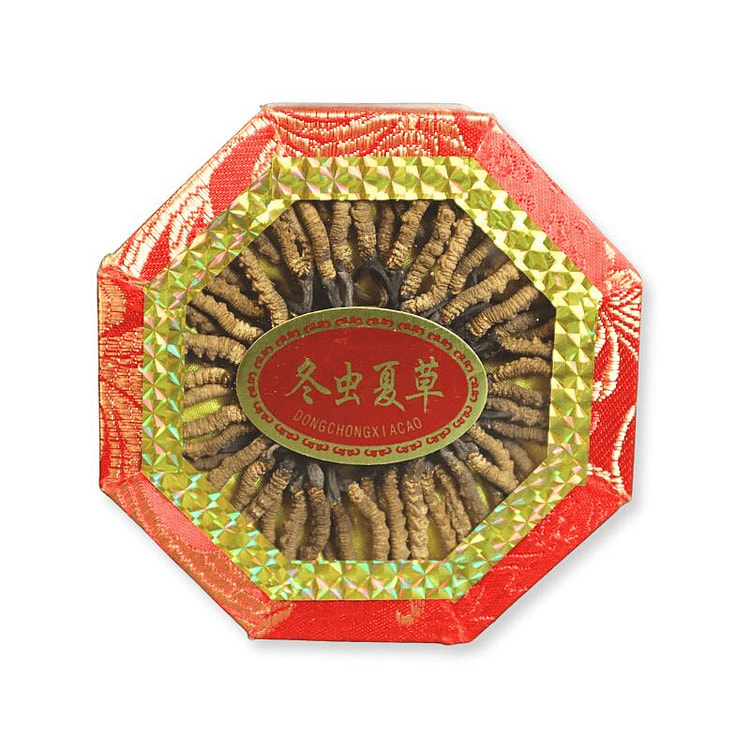 九龍堂 野生冬虫夏草礼盒4000条规格约56条/盒 0.5 盎司