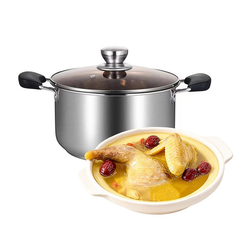 Stainless Steel Stock Pot with Glass Lid 1 count