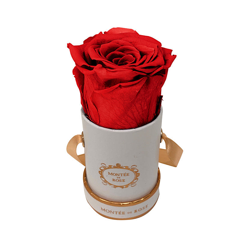 White Mini Round Red 1 份