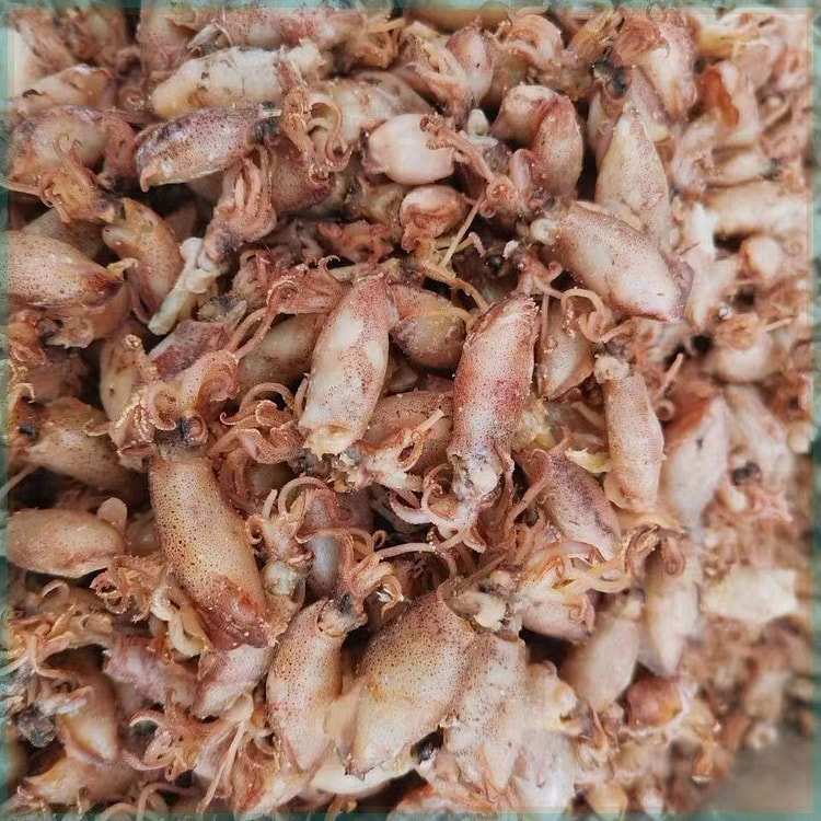 渔民新晒海兔干20g*1包