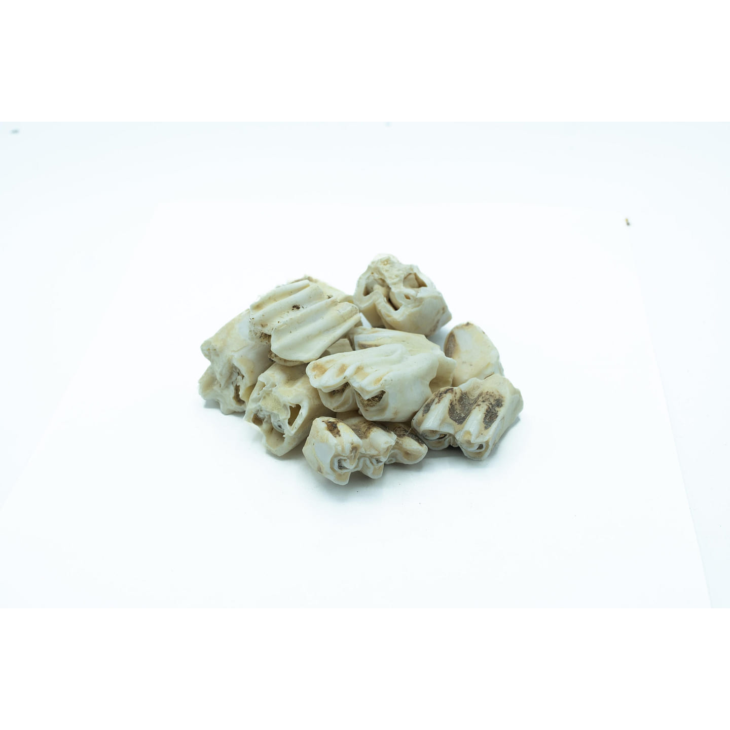 LONG CHI – Custom Amount 1lb lb 1 each