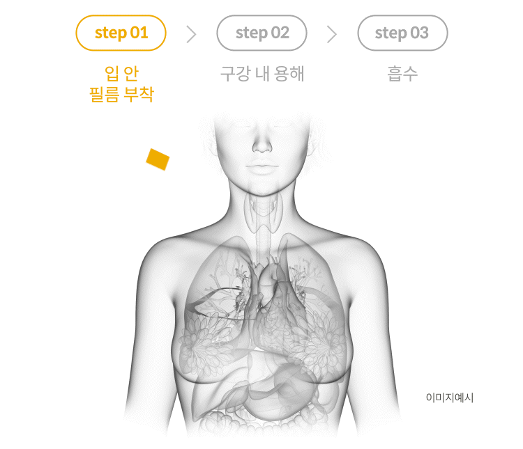 glutathione direct 5x [Esther Formula] Liposome Glutathione Direct Ultra X main image 0