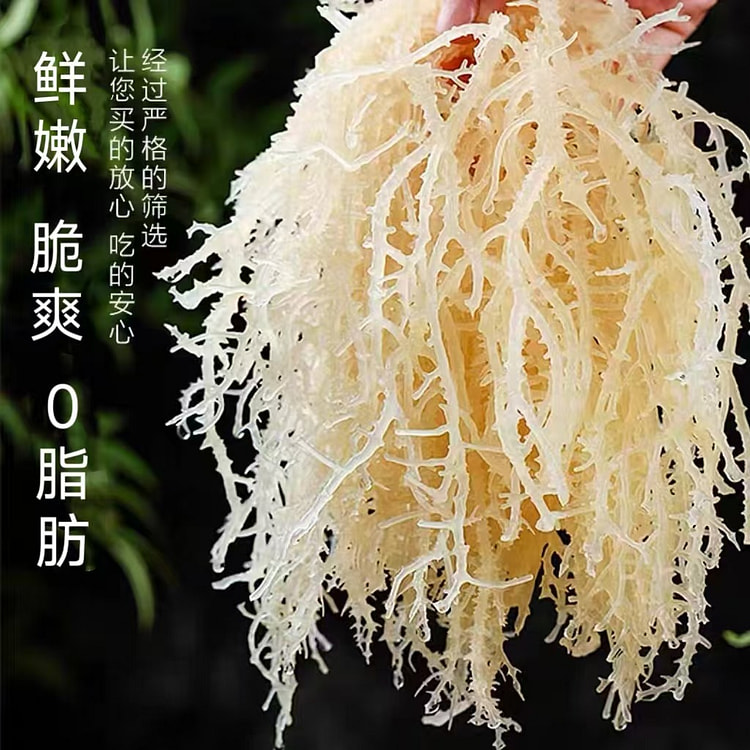 冠耳龙须菜250g*1袋 海石花凉拌菜干货