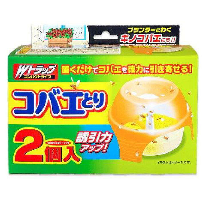 Cockroach Fly Catcher 2 count