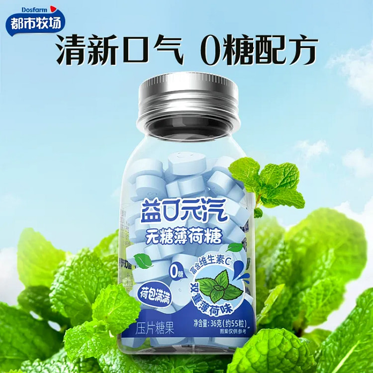 Urban Farm Sugar-Free Mint Candy, Mint Flavor 36g 36 g