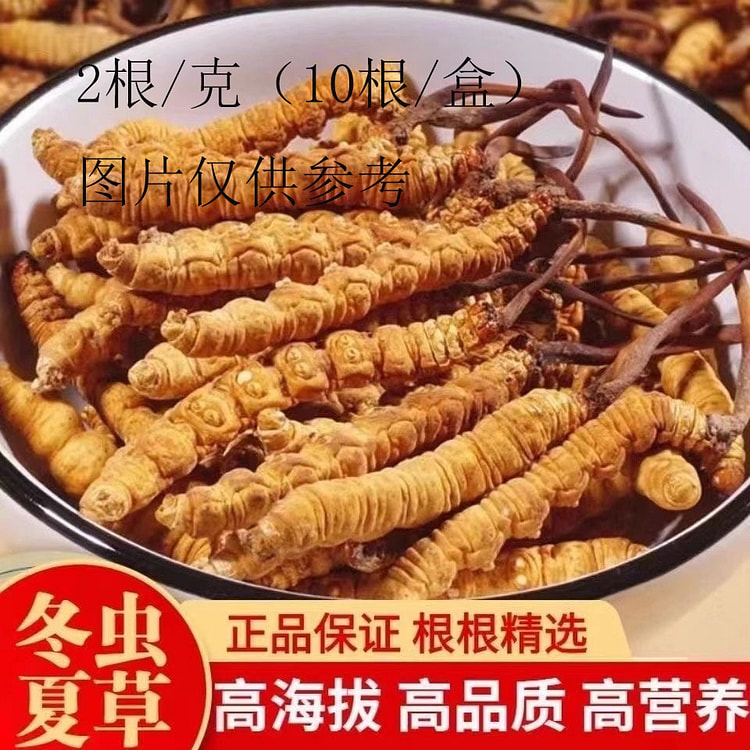 2024冬虫夏草 正品头期冬虫草 正宗虫草王整草干2根/g（10根/盒）图片仅供参考