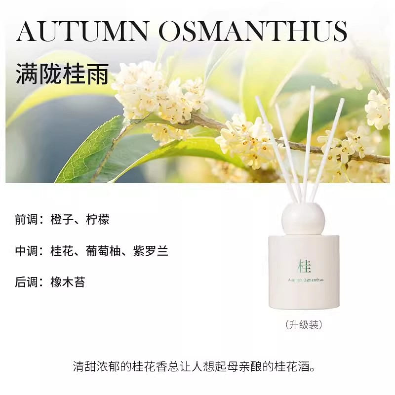 Fragrance Diffuser Home Indoor Lasting Bedroom Eau de Toilette for Women 135ml 135 ml