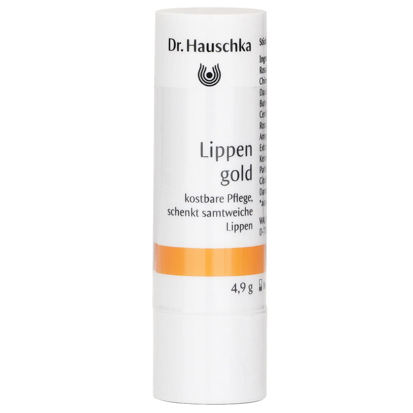 Dr. Hauschka Lip Care Stick 4.9g/0.16oz 4.9 g