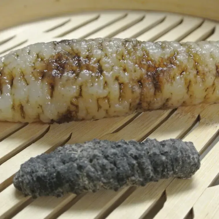 South America Dry Sea Cucumber 200g 1 each