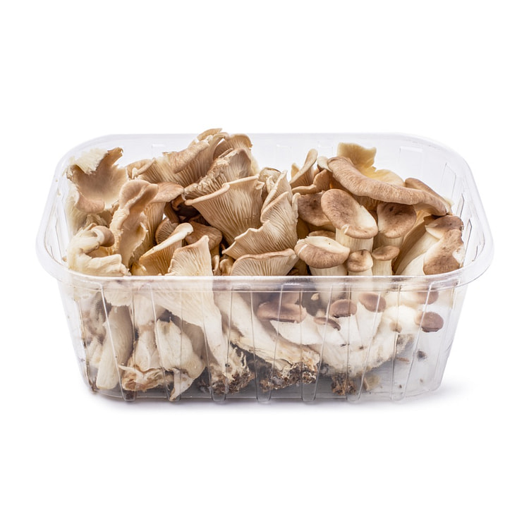 Oyster Mushrooms, Meat Flavour 300 g