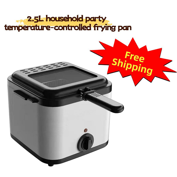 Electric Deep Fryer 2.5L Countertop Fryer Basket 1 bunch