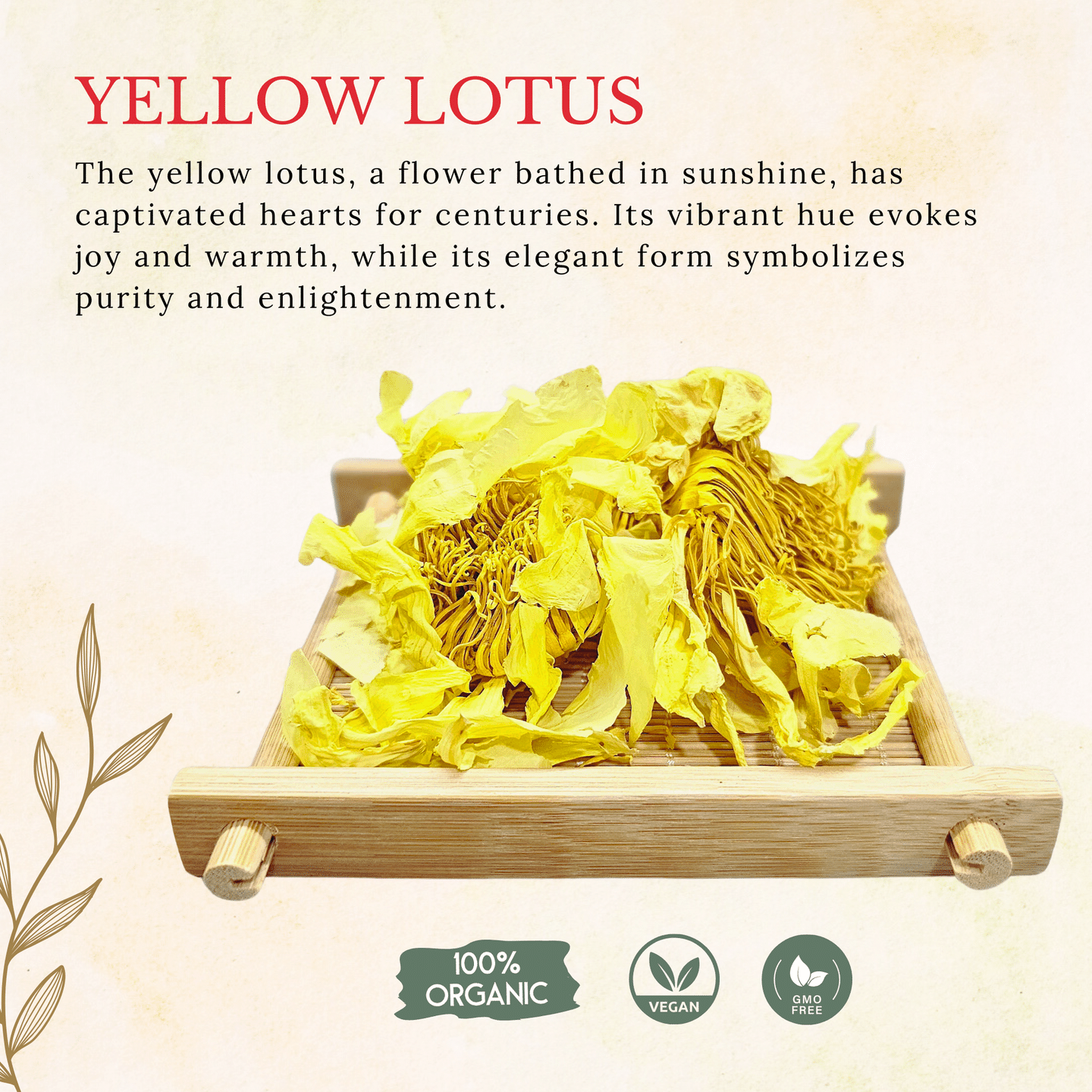 Yellow Lotus Dried Flowers Tea 1oz 1 each
