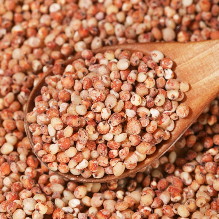 Northeast Red Sorghum Rice
