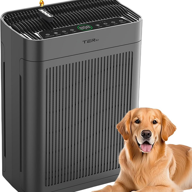 TER 空气净化器带可清洗过滤器（黑色） 1 个