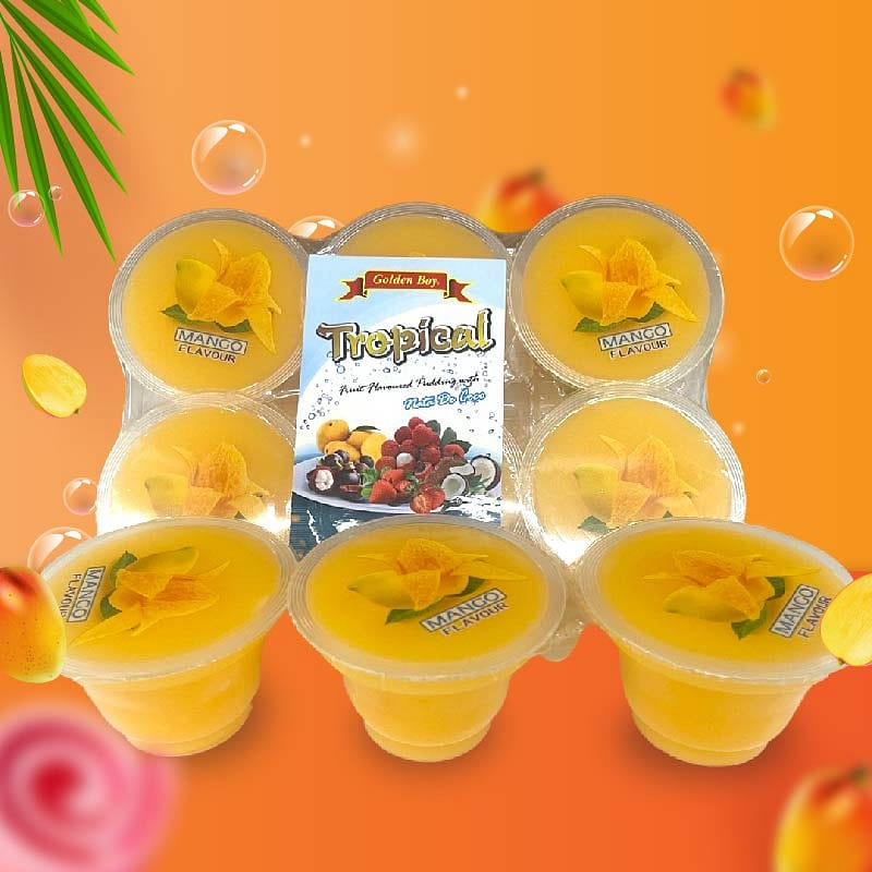 Tropical Pudding * Nata De Coco* Mango Flavour * 6 pcs /tray 23.28 온스