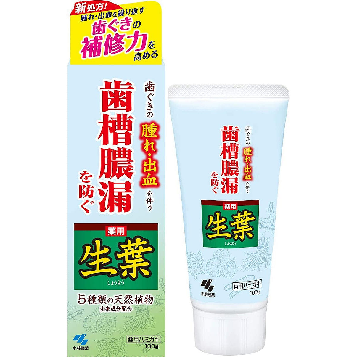 KOBAYASHI Leaf Natural Plant Toothpaste 100 g