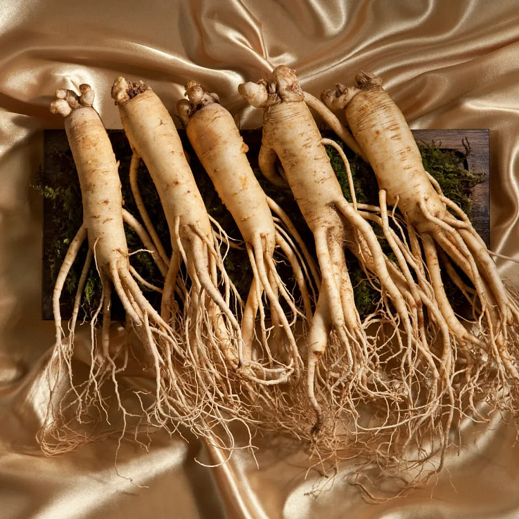 undried ginseng. Two-piece set (total of 15 roots)