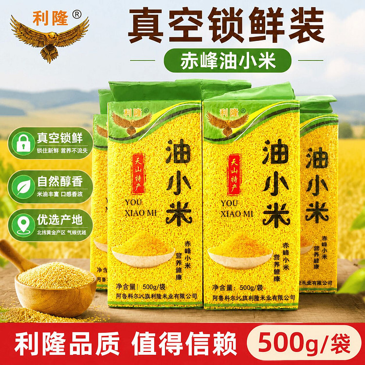Chifeng Oil Millet 500g Vacuum Fresh Grain 500 g