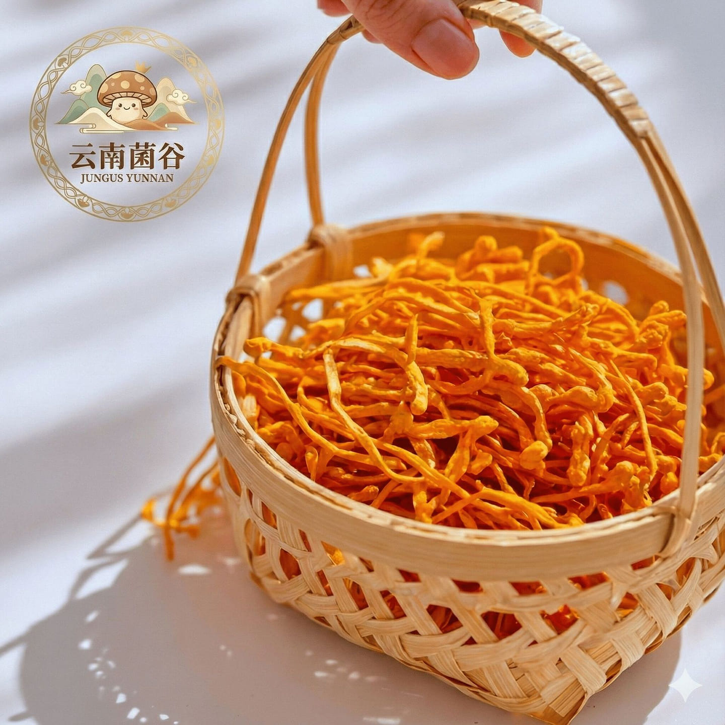 Premium Cordyceps Militaris 100 g