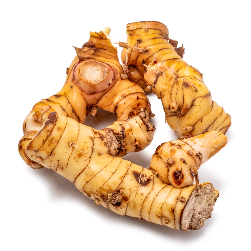 掘れたてガランガル5kg 。全国発送。 掘れたてガランガル5kg 。全国発送。