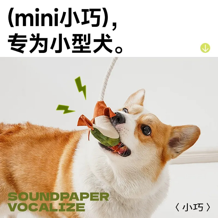 逗犬棒 狗狗玩具磨牙发声小狗解闷自嗨神器（章鱼）