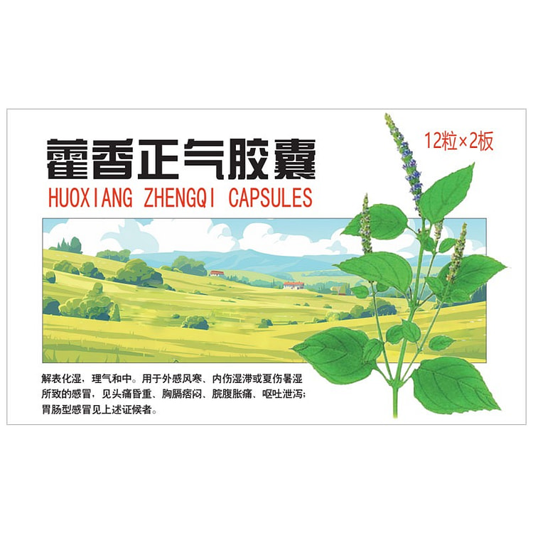 华药堂 藿香正气胶囊 24粒 防暑祛湿 腹泻晕车 1 盒