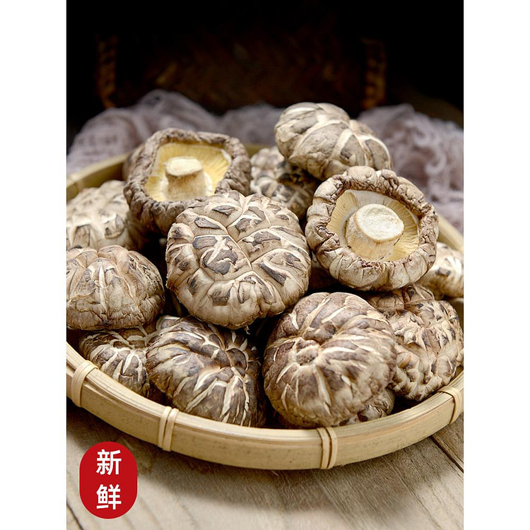 菌初花菇香菇干货30g*1袋无干燥剂托盘新货椴木自种冬花茹营养菌菇干大花菇3-5cm