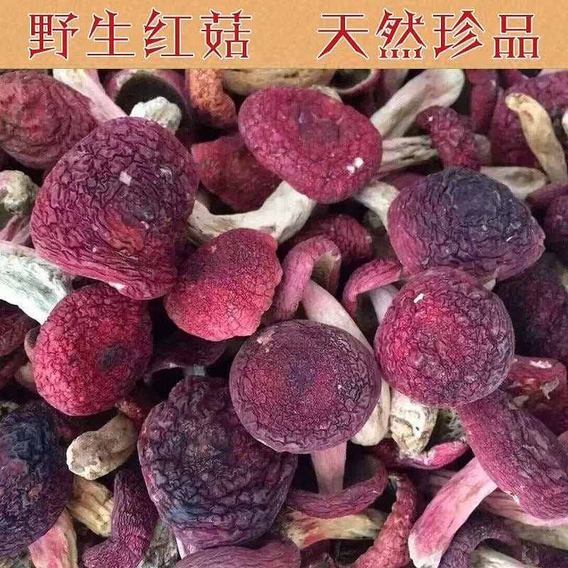 Sanming farm wild red mushroom pregnant women nutr 1 each