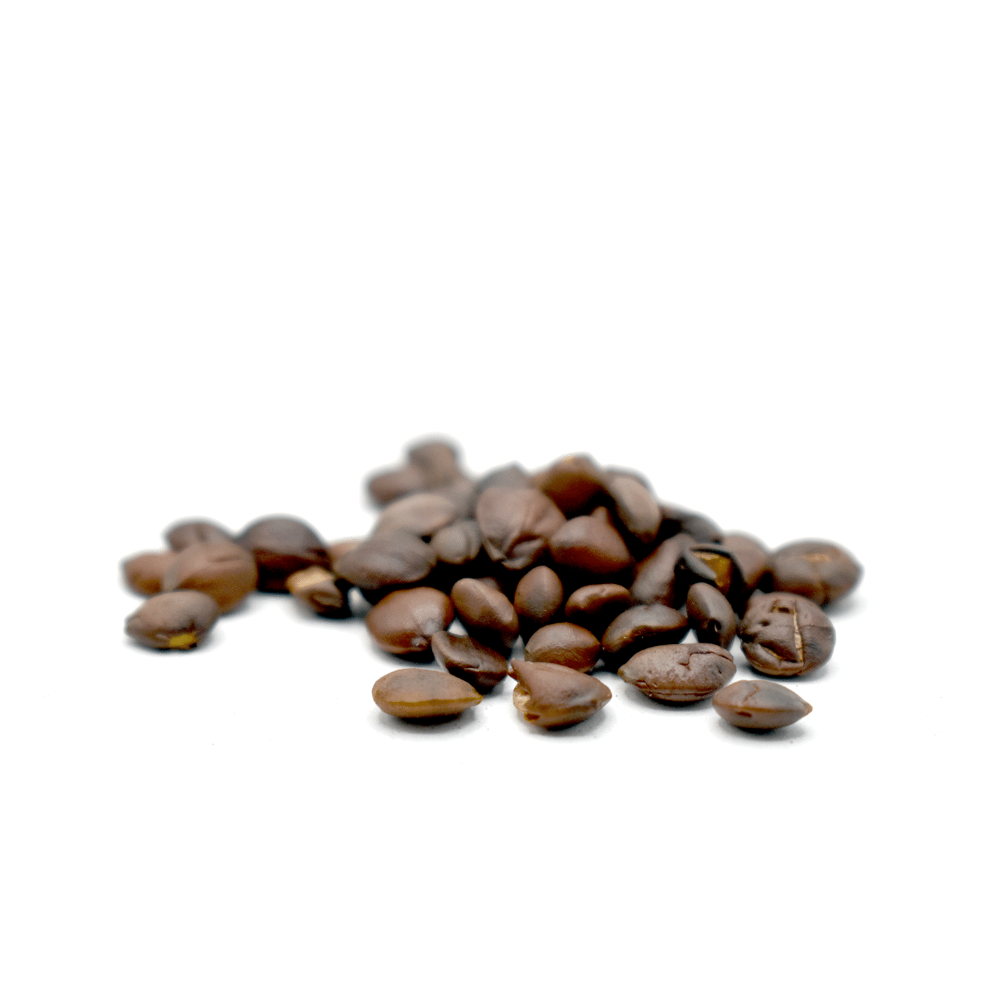 SUAN ZAO REN – Sour Jujube Seeds – Custom Amount 1lb lb 1 each