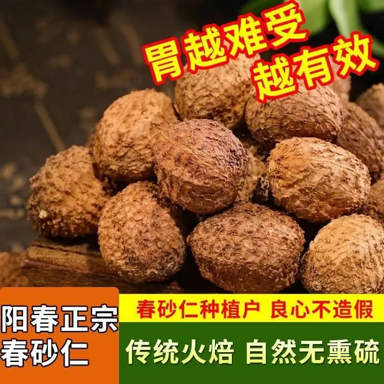 春砂仁正宗特产野生特级新鲜砂仁中药材香砂仁