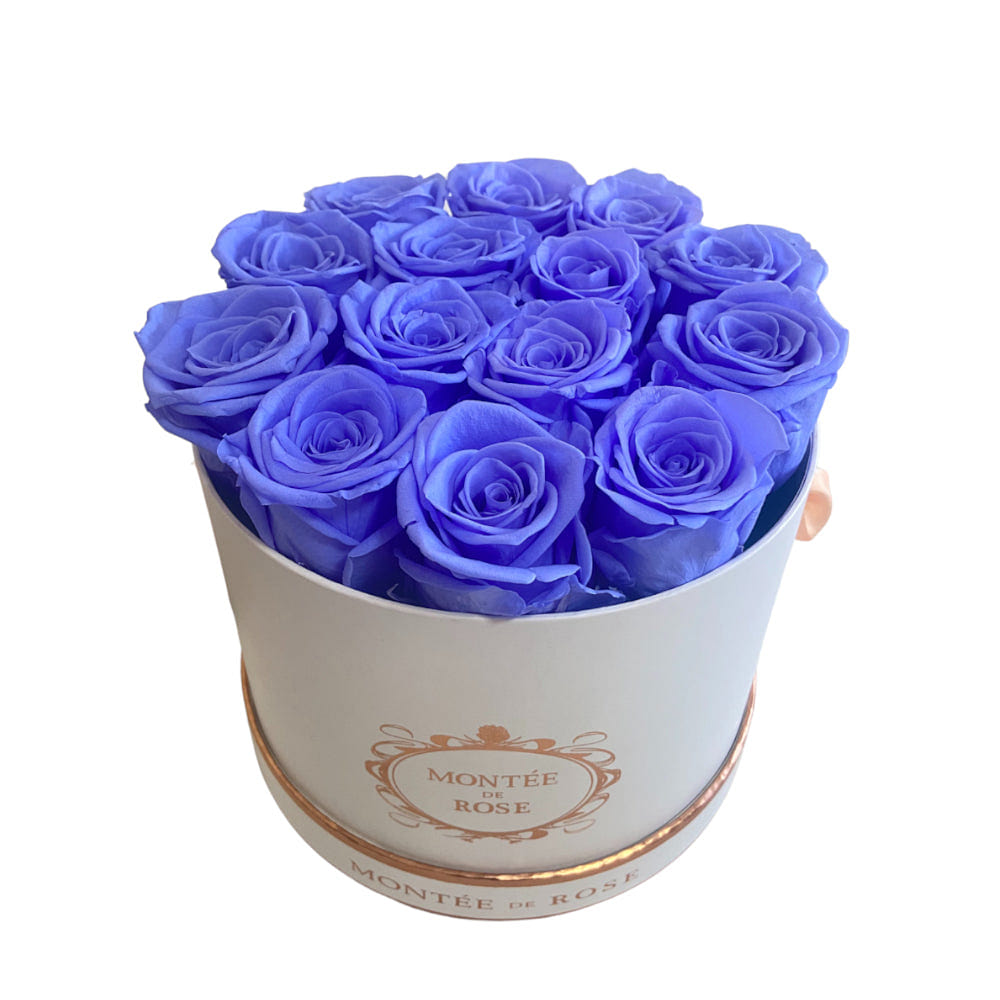 White Medium Round Violet 1 each