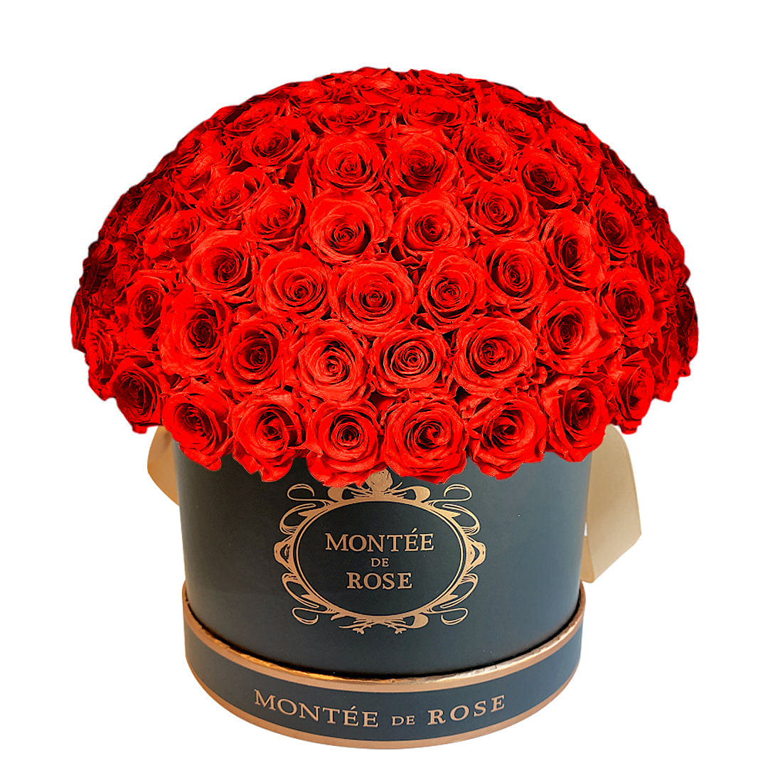 Black Large Dome Red 1 份