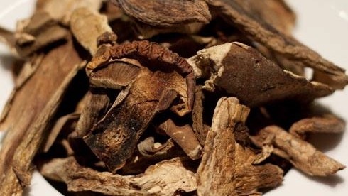 【MushroomStorm】美味牛肝菌 2 盎司