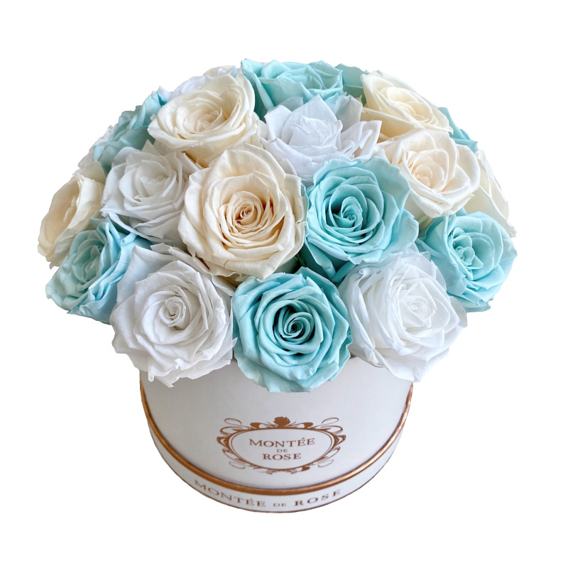 Mint Dome 1 份