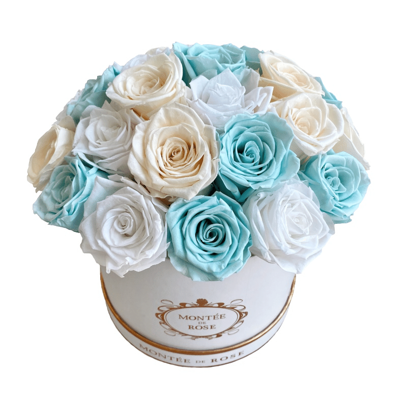 Mint Dome 1 each