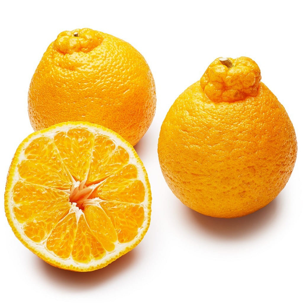 Shiranui Mandarin 1.8-2.2 libra(s)