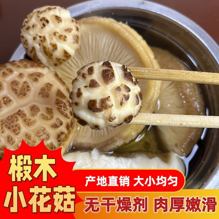 随州小花菇 特级出口花菇迷你珍珠菇1袋