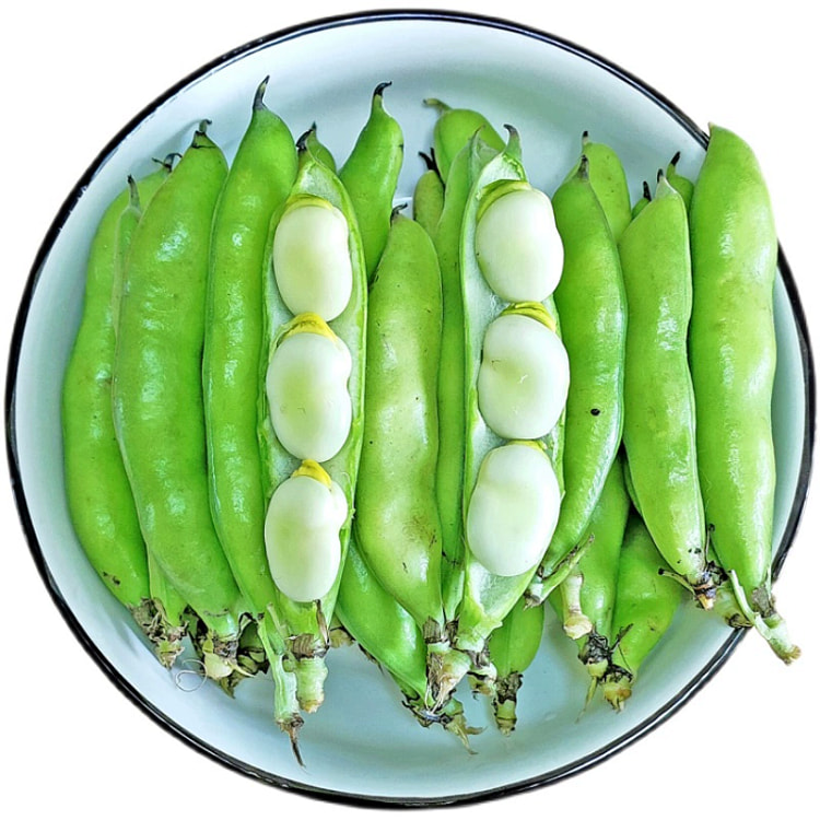About 500g fresh broad beans with shell