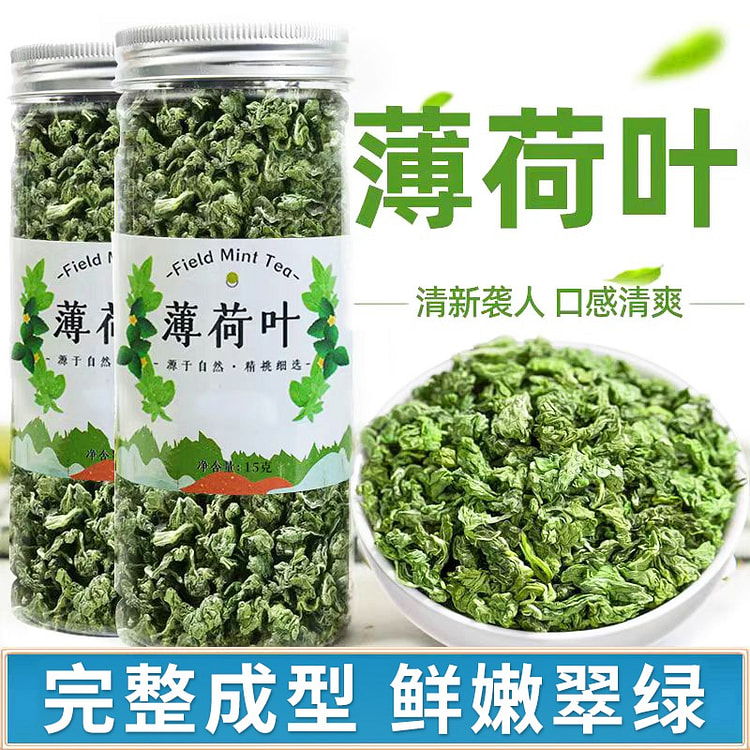 新鲜薄荷叶  夏季清凉茶 冷泡花茶1罐