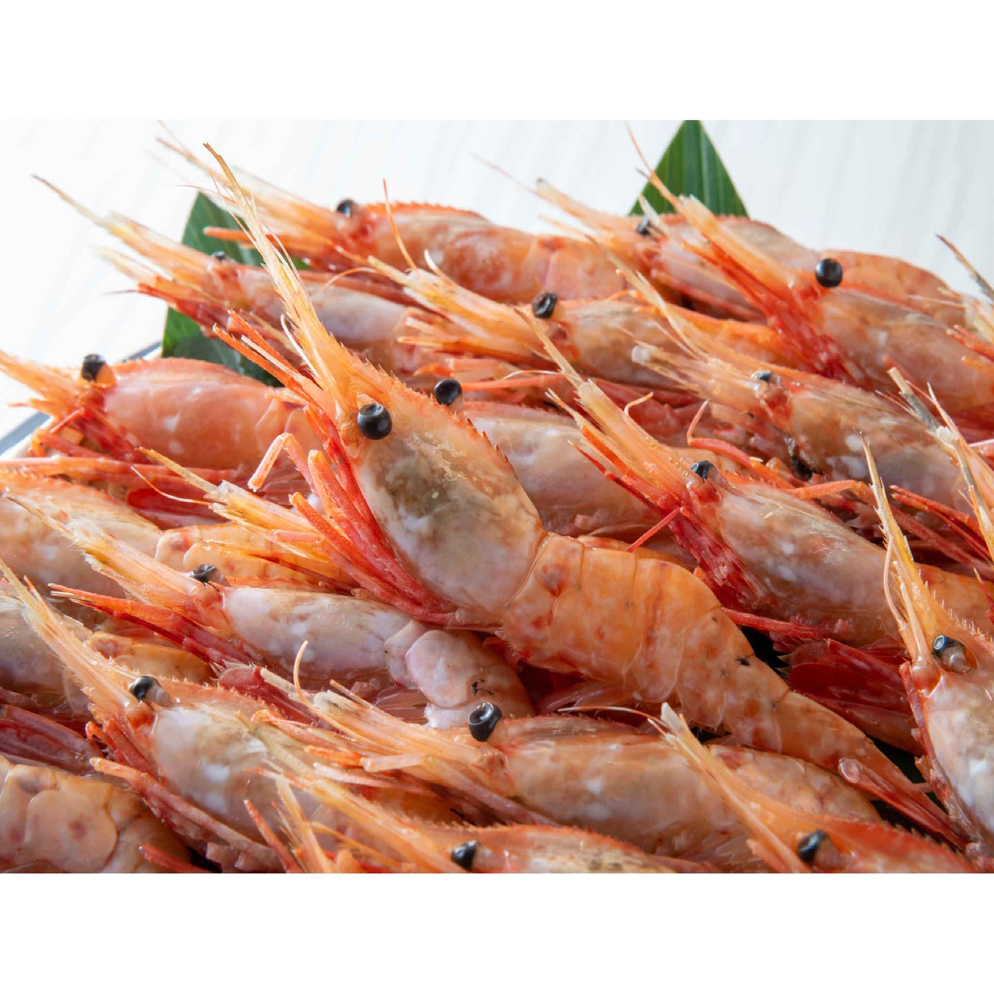 Get Frozen Botan Ebi (Spot Prawn) XL 21-24 PC Delivered