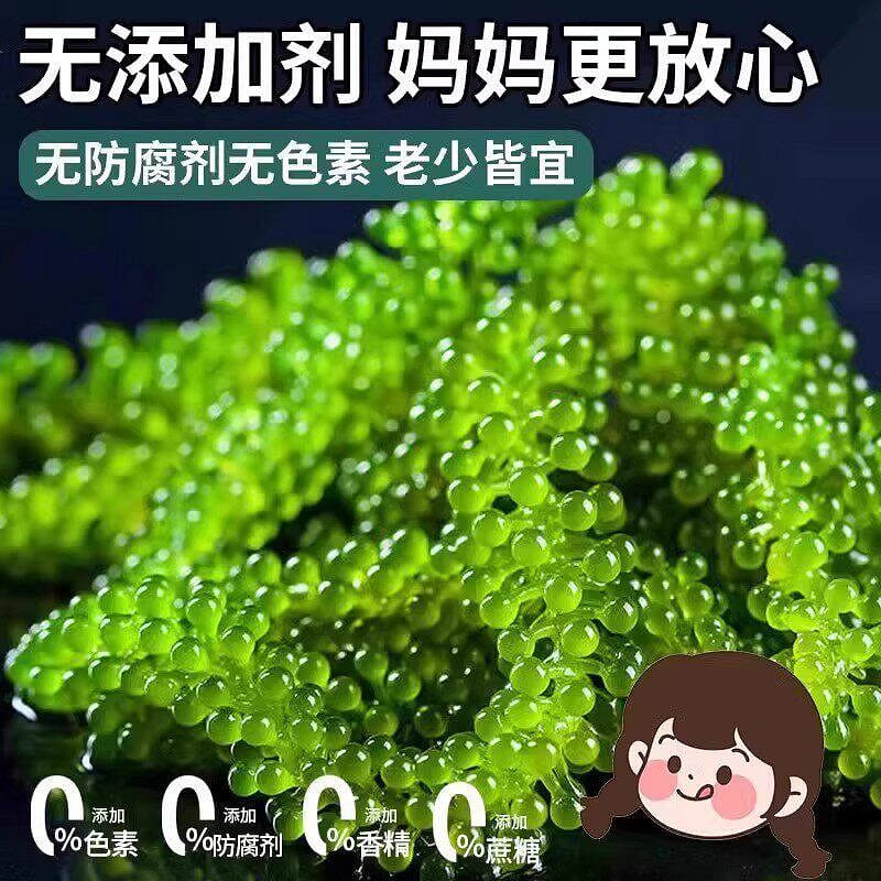 Children, sea grapes, healthy nutrition 100 g