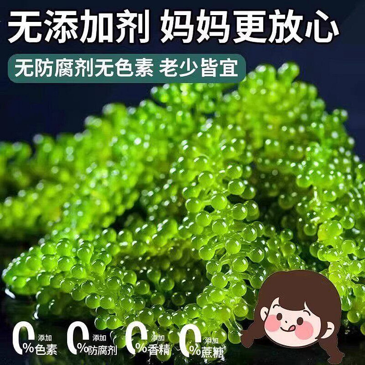 Children, sea grapes, healthy nutrition 100 g