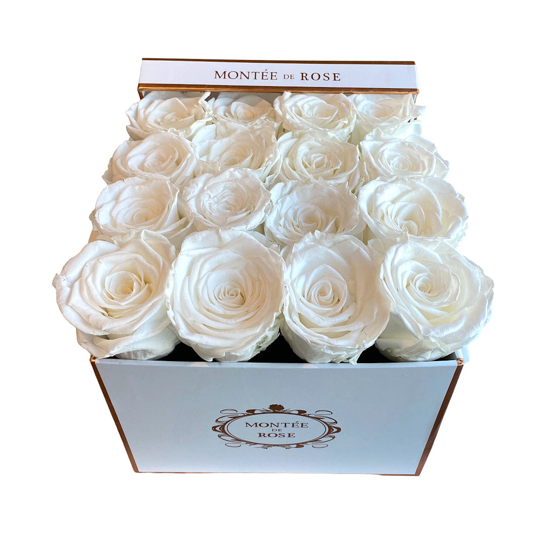 White Medium Square Pure White 1 each